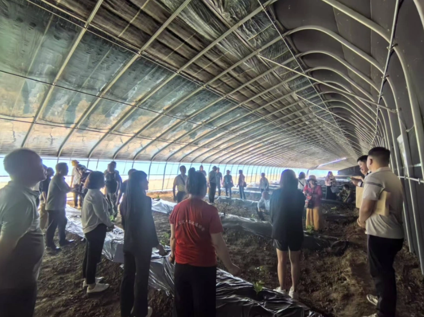 2025-05-16_094236 2025-05-16_094236