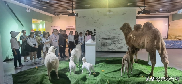 a600b0b86dda4f12894b17109426745f_tplv-obj_5408_2512