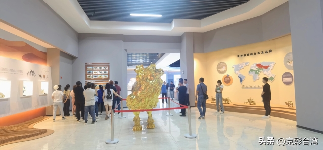 ad491fe62aef47e8b429257332bf5576_tplv-obj_5408_2512