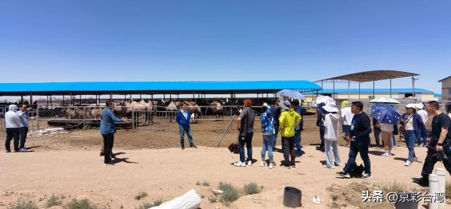 c8450681b39b4b78b4eb14049878a44f_tplv-obj_5408_2512