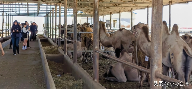 246442b4188648e6be4ab71f23a3a473_tplv-obj_4096_1904