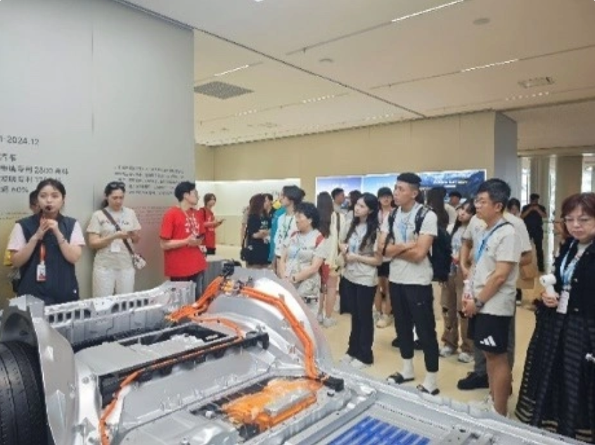 2025-07-01_111131 2025-07-01_111131