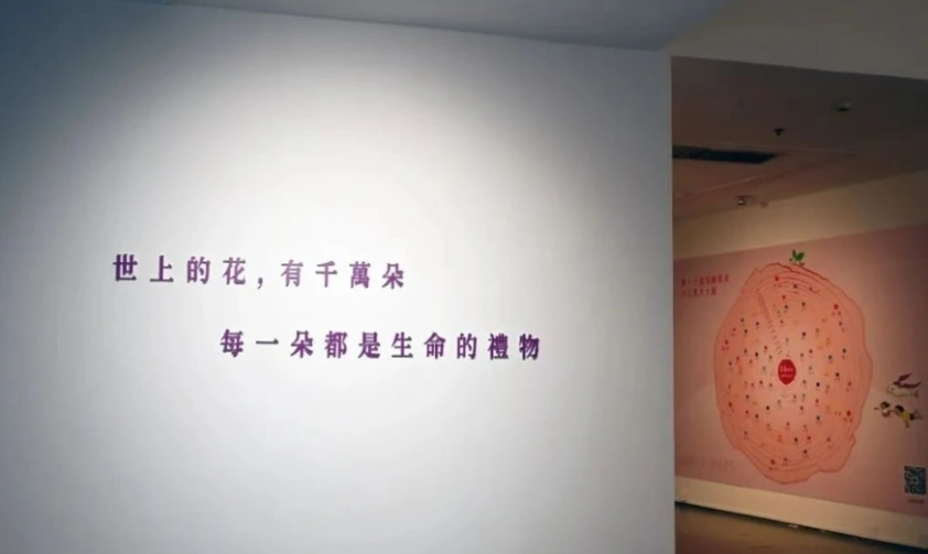 2025-10-10_091226 2025-10-10_091226